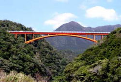  安房川下流から観た松峰大橋